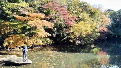 三四郎池の紅葉